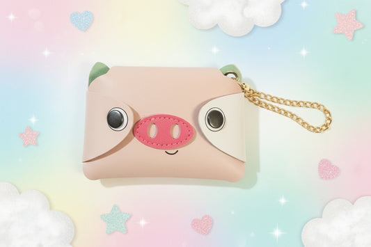 Snap Wallet Coin Purse